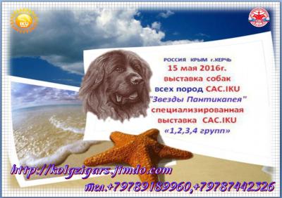 Продам щенка , ПРОДЛЕНА РЕГИСТРАЦИЯ БЕЗ ИЗМЕНЕНИЯ ВЫСТАВОЧНОГО ВЗНОСА - Россия, Керчь. Цена 1500 рублей