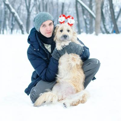 Отдам щенка в добрые руки Метис - Россия, Москва
